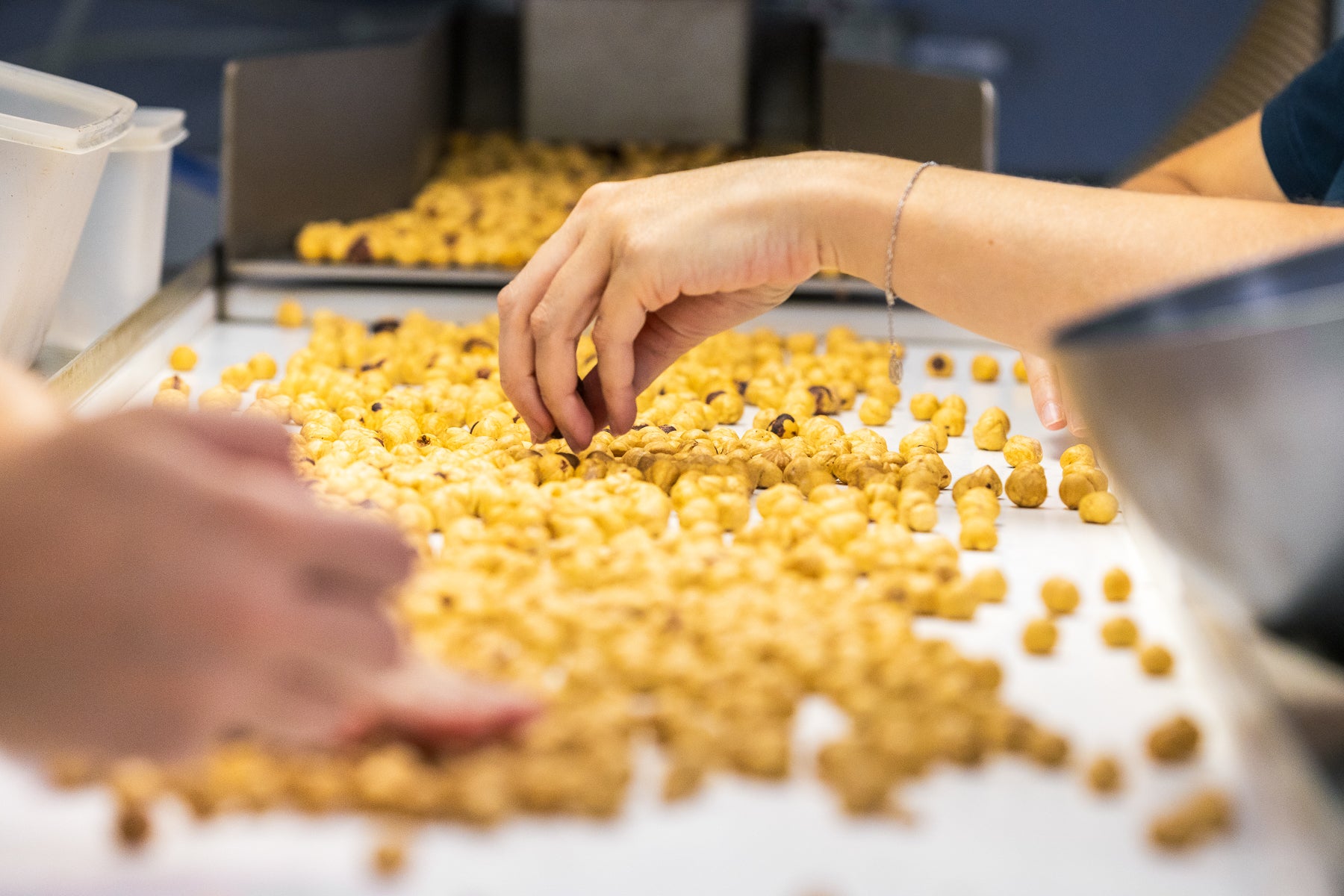 Nocciole Piemonte I.G.P. Caramellate