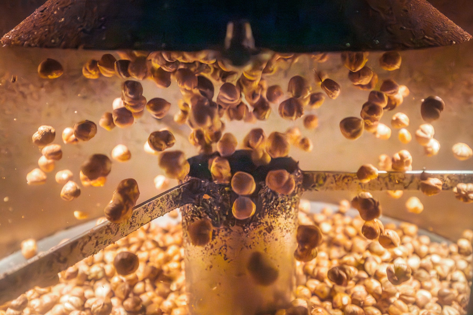 Nocciole Piemonte I.G.P. Salate e Tostate