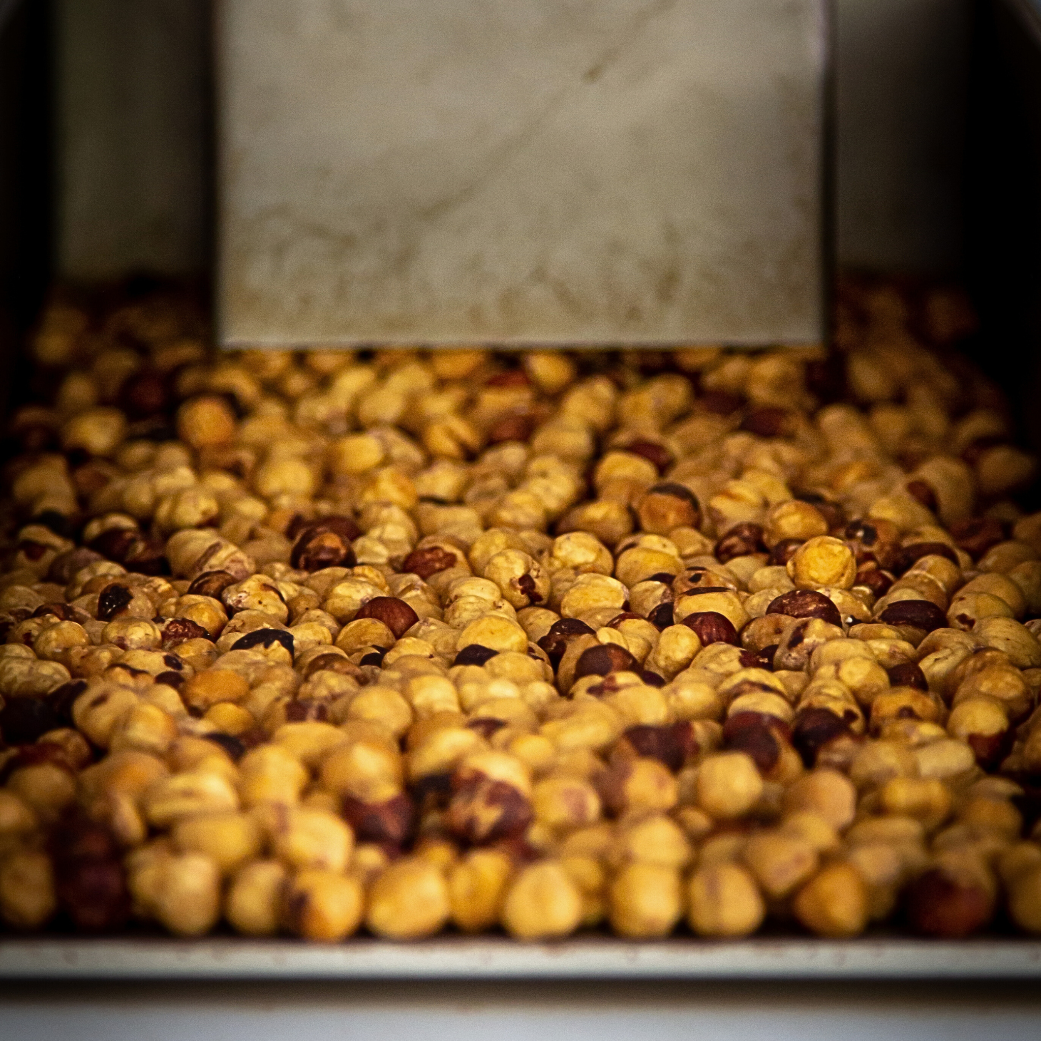 Nocciole Piemonte I.G.P. delle LANGHE Tostate